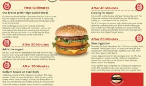 Big mac meal nutrition facts