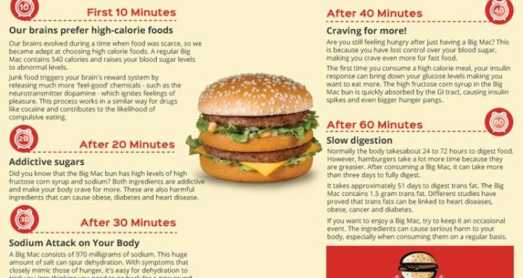 Big mac meal nutrition facts